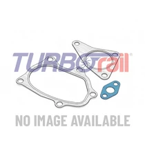 Big internal gasket TR1923