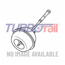 Wastegate Valve 100-00319-700