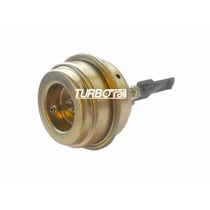 Wastegate Valve 100-00263-700