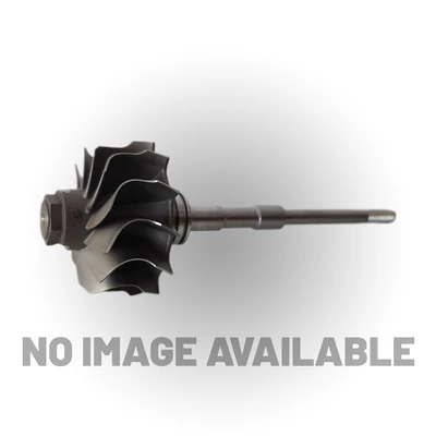 Shaft &Wheel 100-00271-100