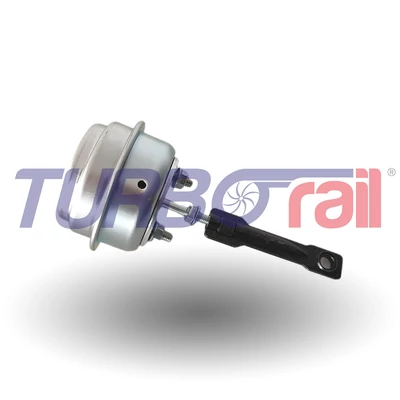 Wastegate Valve 100-00264-700