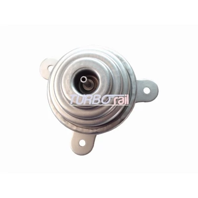 Wastegate Valve 100-00668-700