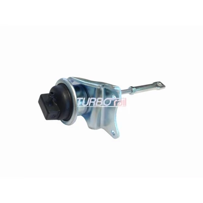 Wastegate Valve 100-00896-700