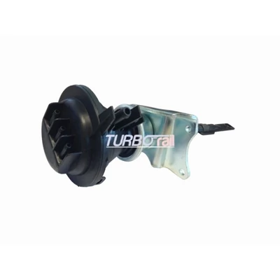 Wastegate Valve 100-00897-700