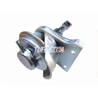 Wastegate Valve 100-01002-700