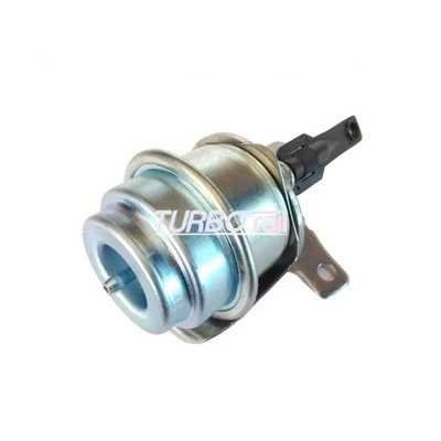 Wastegate Valve 100-01007-700