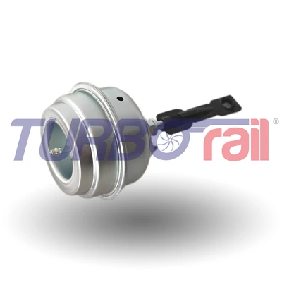 Wastegate Valve 100-01078-700