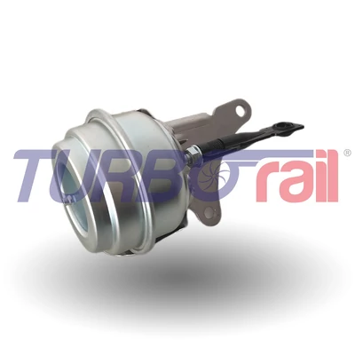 Wastegate Valve 100-01193-700